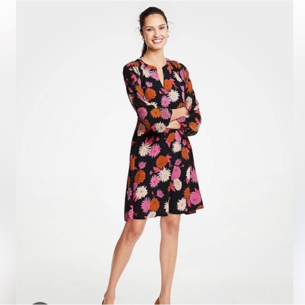Ann Taylor Autumnal Floral Chiffon
Sleeve Flare Dress Size 4P - Picture 5 of 9